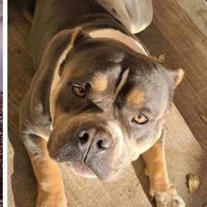 Meet your Posher, Sean